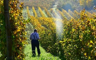 A cena con il produttore – Walter Massa